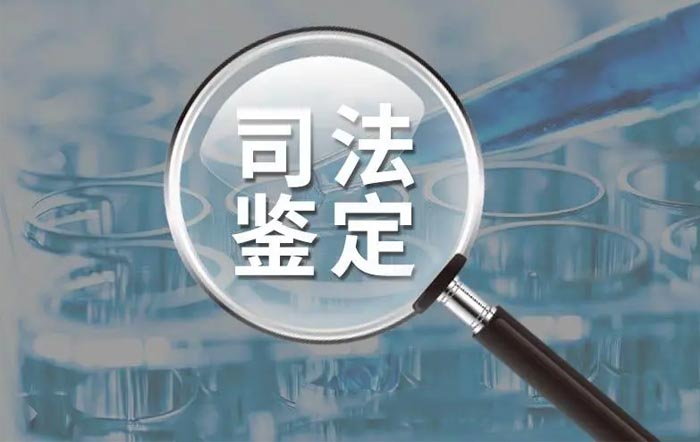 关于单方鉴定和申请司法鉴定责任的认定是否正确